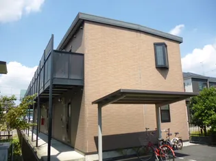 アムール CAGEの画像