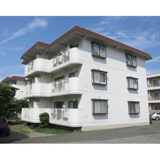 新田サンハイツの画像