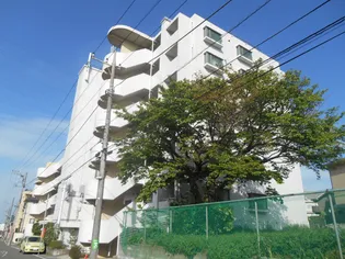 サンクレスト青葉台IIの画像