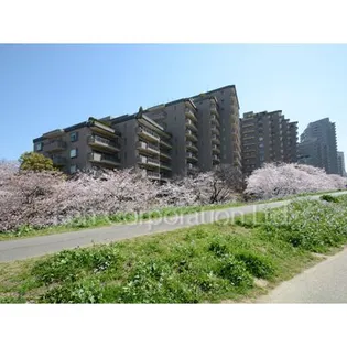 パークハウス多摩川南四番館の画像