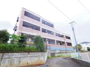 ガーデンリバティの画像