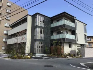 ベレオ豊成の画像