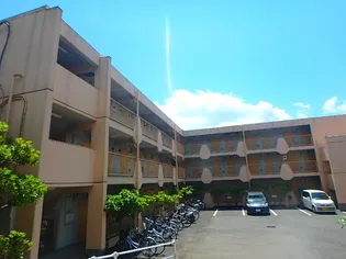 ハイツウシロダ【3階】の外観