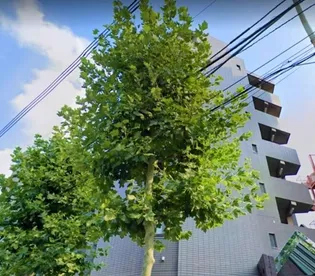 ロックハイツの画像