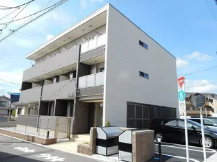 プラシードの画像