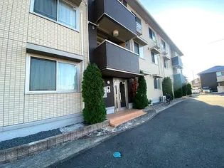 熊本県熊本市南区田井島3【アパート】の外観