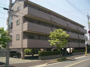 サンプライズの画像