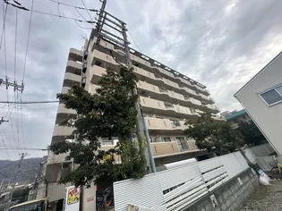 レクシア野崎の画像