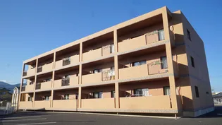 スターシンフォニーの画像