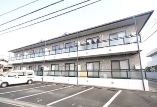 グレーシア福田の画像