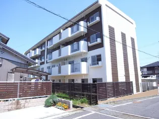 エル ブルックの画像