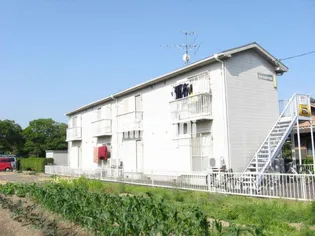 キャッスルしらかば【1階】の外観