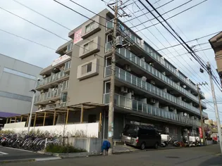 ジュネス康陽の画像