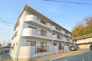 サンシャインコトブキの画像