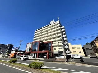 プラザ真砂【8階】の外観