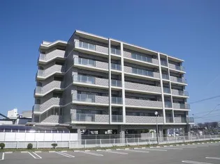 カーサ宮ノ前II【6階】の外観