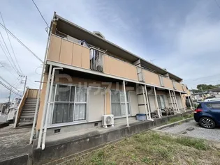 ドルフ石井Bの画像