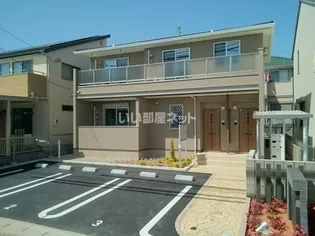 プリムローズの画像