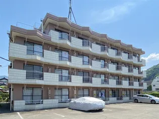 岩崎ハイツ【3階】の外観