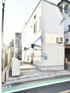 オアシスコイワの画像