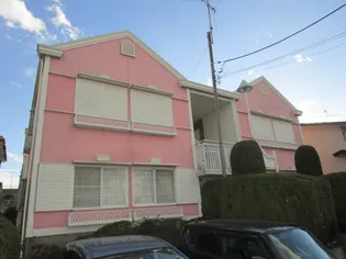 ウィンディアN7の画像