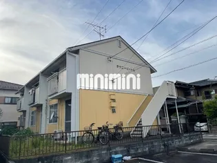 タウニービートルの画像