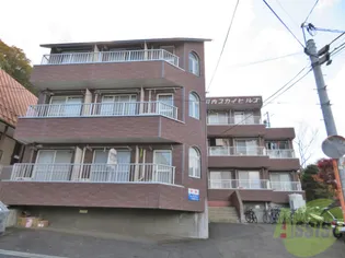 スカイヒルズ川内【3階】の外観