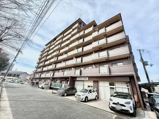 ロニヨンの画像