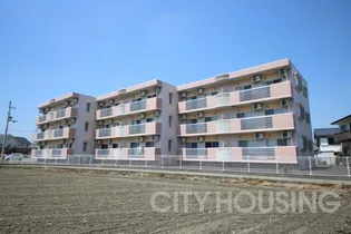 プレシェンテの画像