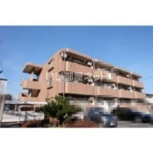 ユーミーナリサの画像