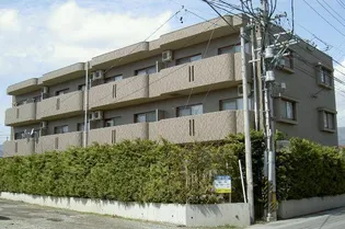 ブール ド ネージュの画像