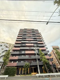 クラリッサ新川崎の画像