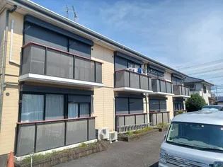 エマーユ ピノの画像