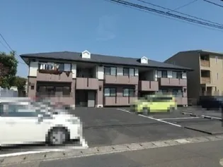 ハイカムールアダチの画像