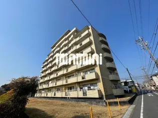 ラジョーヌの画像