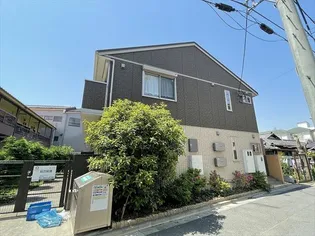 グラシューズの画像