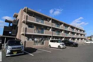 Y&M向日葵の画像