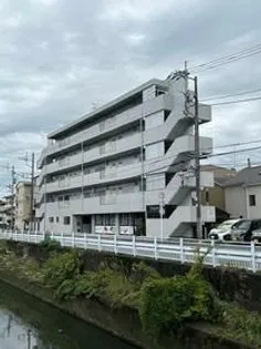 プリムタザワの画像
