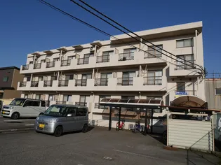 アイビー五福の画像