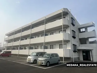 COCOヴィーナス【3階】の外観