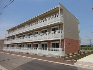 レオネクスト菜の花の画像