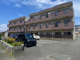 スターハイツ【1階】の外観