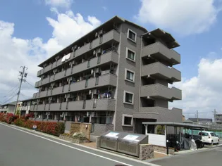 エコパビューの画像