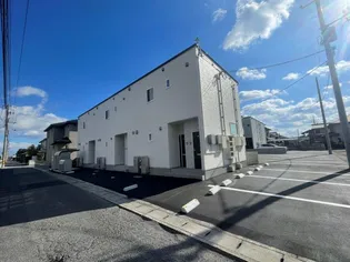 アマン タツの画像