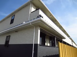 グレイス シェーネの画像