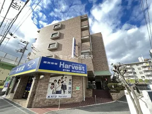 アステコートの画像