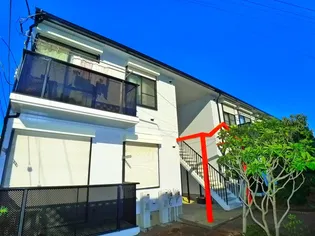 ペアーブラッサムFの画像