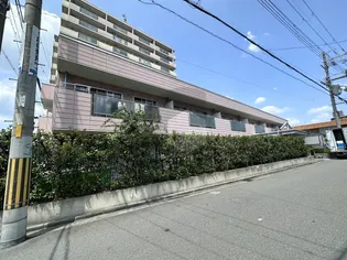 ハイムカランツの画像