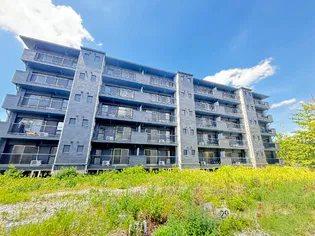 ドミールサニー緑町2号棟の画像