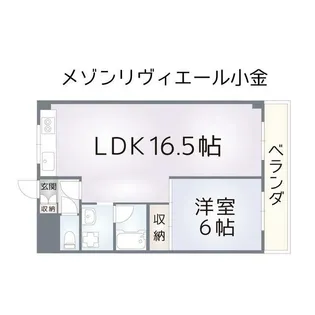 メゾンリヴィエール小金【5階】の間取り